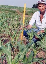 Field Trial